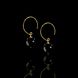 Gold plated earrings with black agates